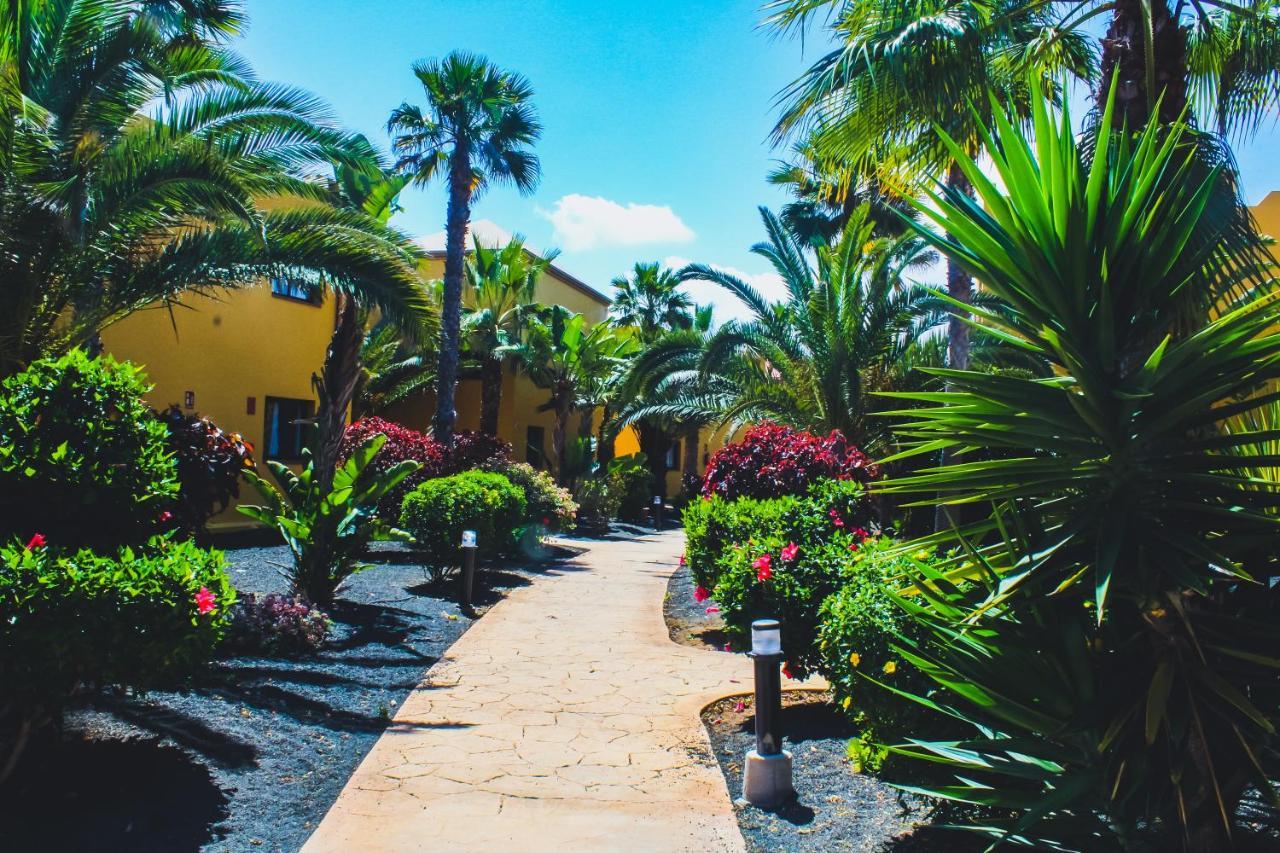 Oasis Fuerteventura Beach Apartments Corralejo Exterior photo