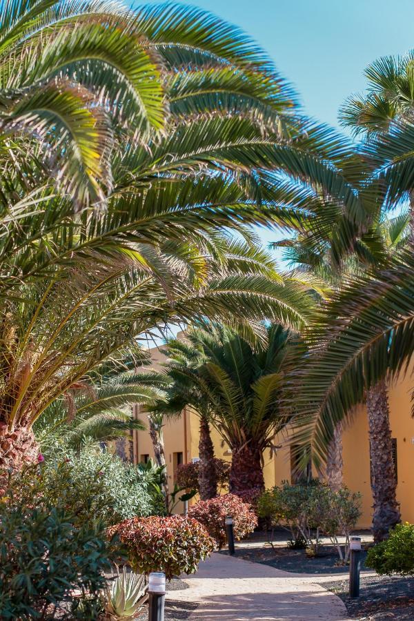Oasis Fuerteventura Beach Apartments Corralejo Exterior photo